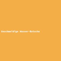 Geschmeidige Wasser-Rutsche