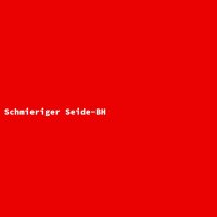 Schmieriger Seide-BH