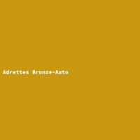 Adrettes Bronze-Auto