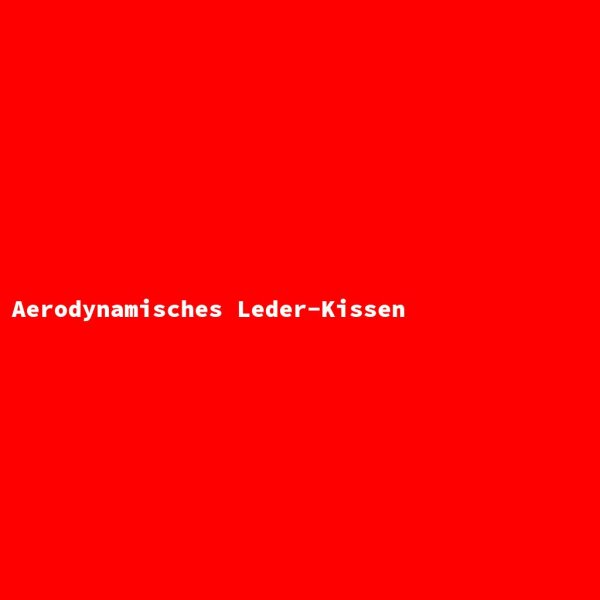 Aerodynamisches Leder-Kissen