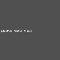 Adrettes Kupfer-Kissen