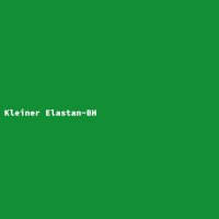 Kleiner Elastan-BH