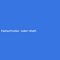 Fantastischer Leder-Stuhl