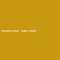 Fantastischer Leder-Stuhl